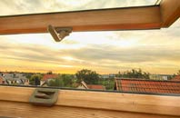 rated Brandesburton roof window companies